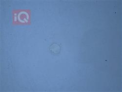 هیۆندای تۆکسۆن